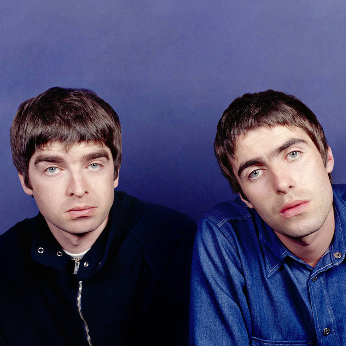 oasis